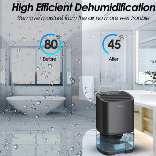 Silent Dehumidifier for Home Use